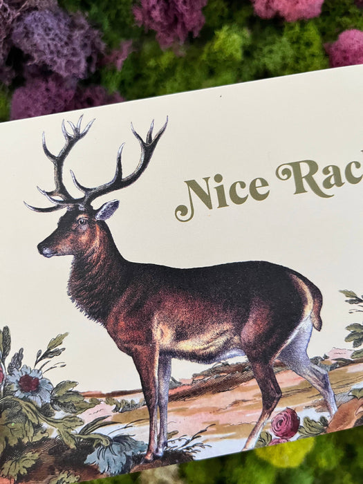 Nice Rack Funny Deer Card - Love Friendship Birthday