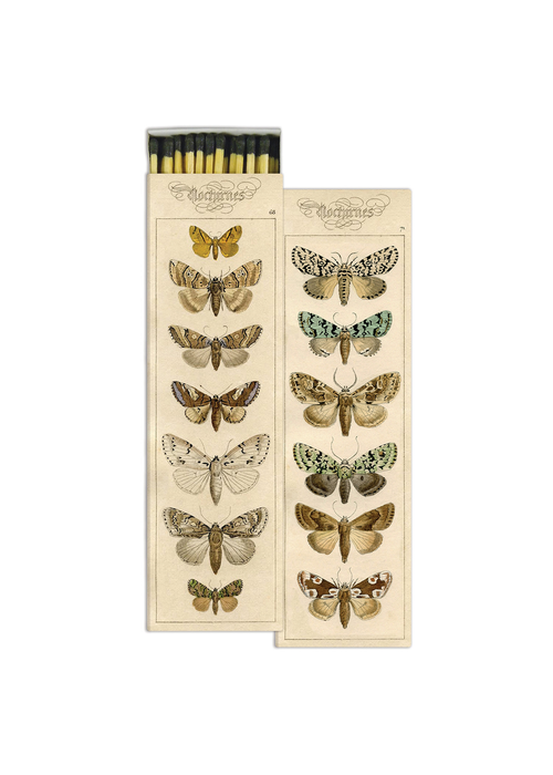 Long Box Matches - Moths