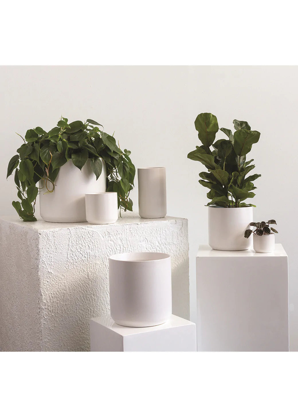 Best Pots For Indoor House Plants