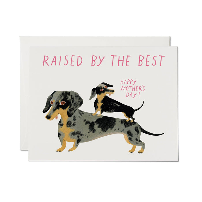 Raised by the Best greeting card