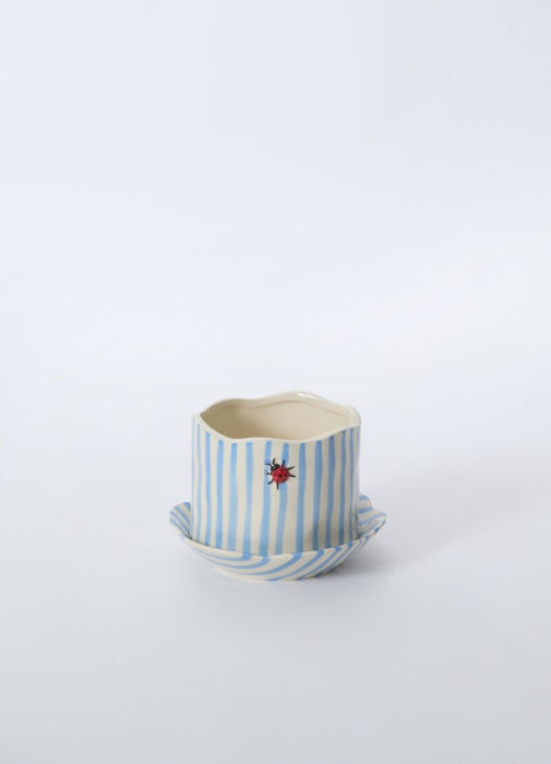 Ladybug Pot w/ Saucer