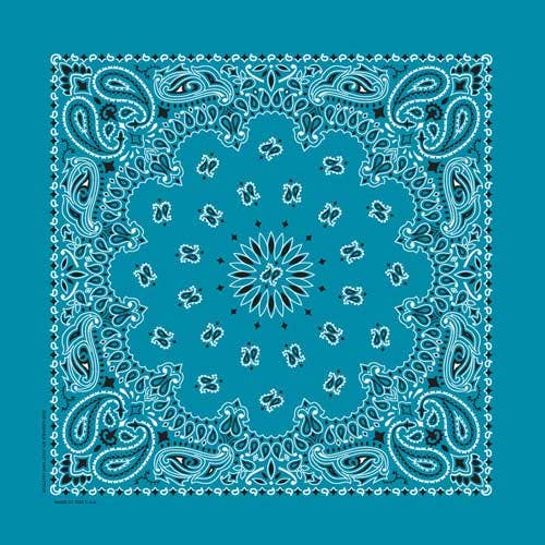 Bandanna Co Classic Paisley 22" X 22"