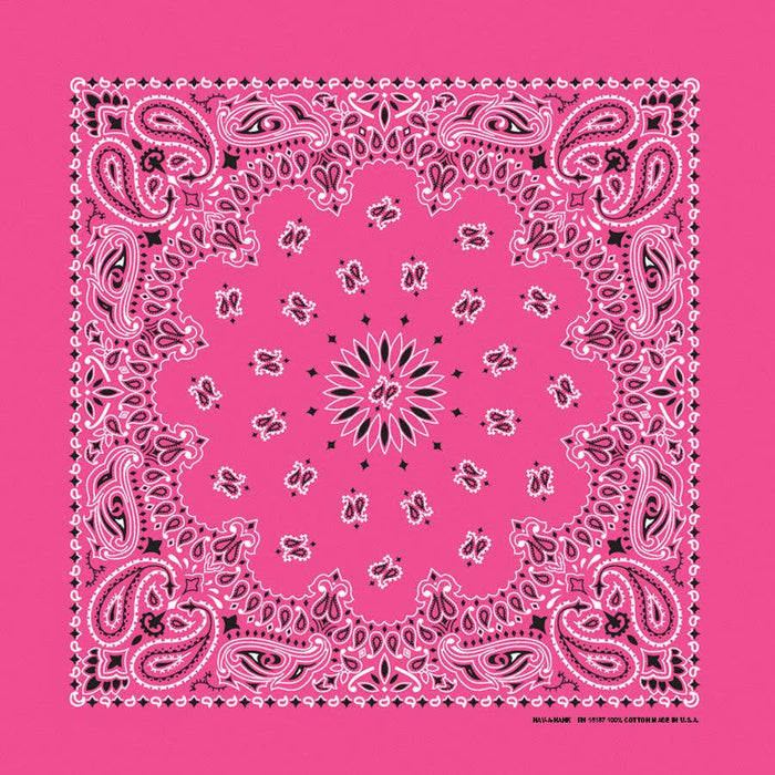 Bandanna Co Classic Paisley 22" X 22"