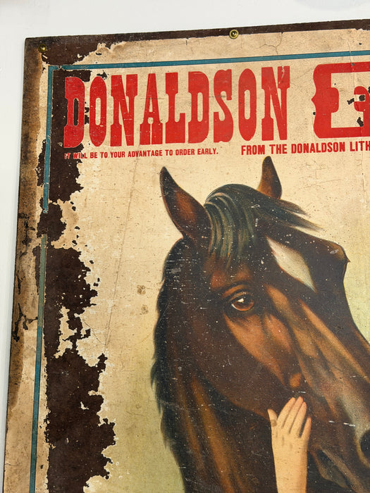 Horse Salesman Sample Poster Early 1900s Sign Antique