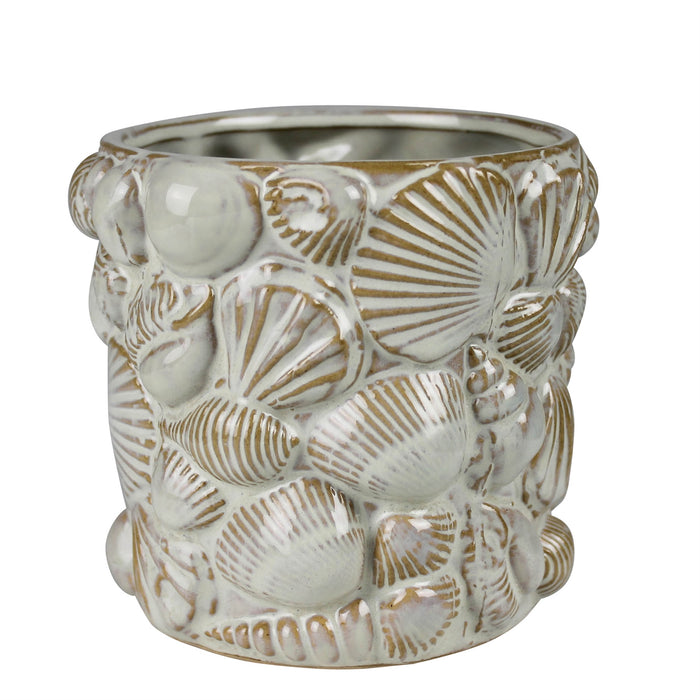 Shell Cachepot
