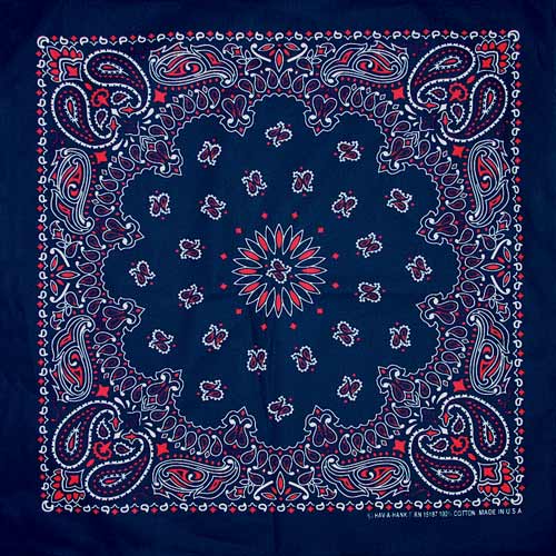 Bandanna Co Classic Paisley 22" X 22"