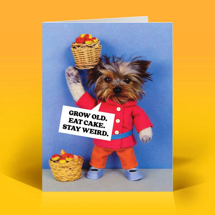 Stay Weird Birthday Card