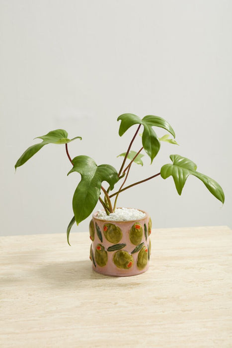 Cucina Pot