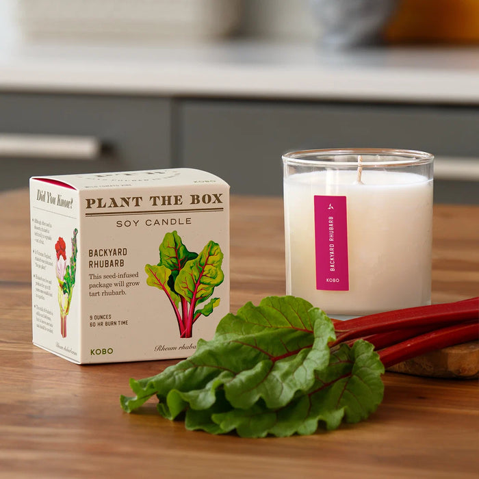 Plant The Box Candle - 9oz