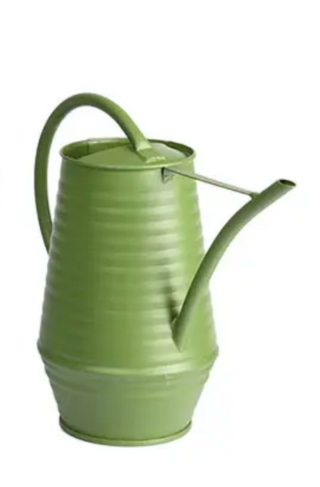 Shades of Green Watering Can