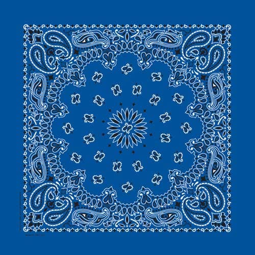 Bandanna Co Classic Paisley 22" X 22"