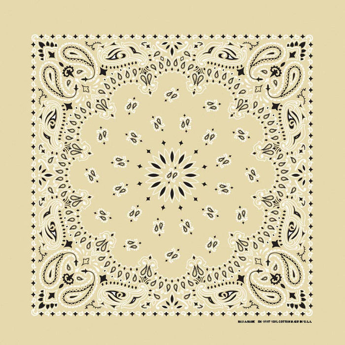 Bandanna Co Classic Paisley 22" X 22"