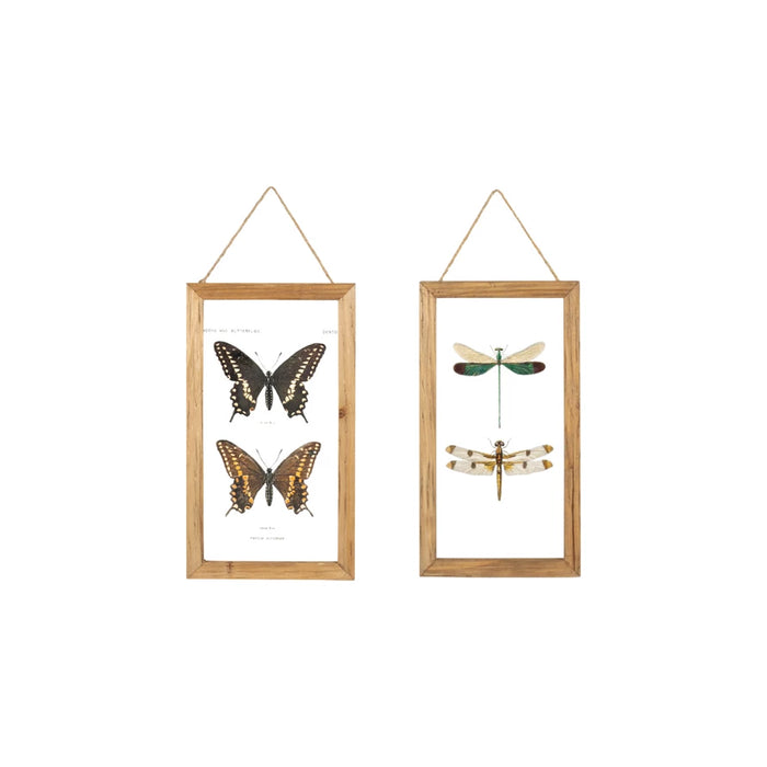 Wood + Glass Insect Frames