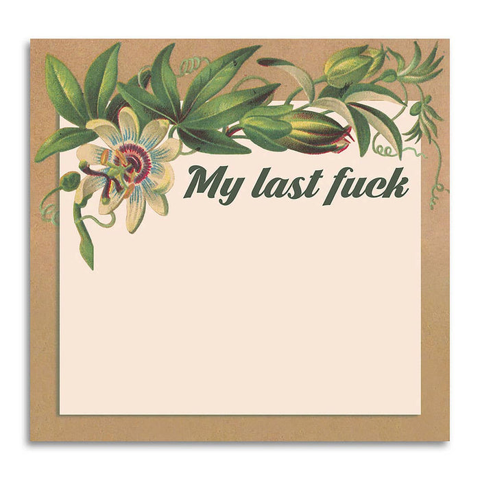 My Last Fuck - Funny Sarcastic Sticky Note Pad