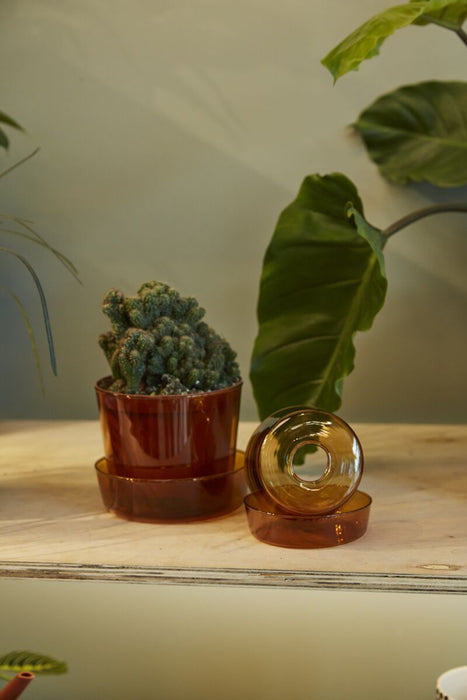 Amber Glass Pot with Saucer