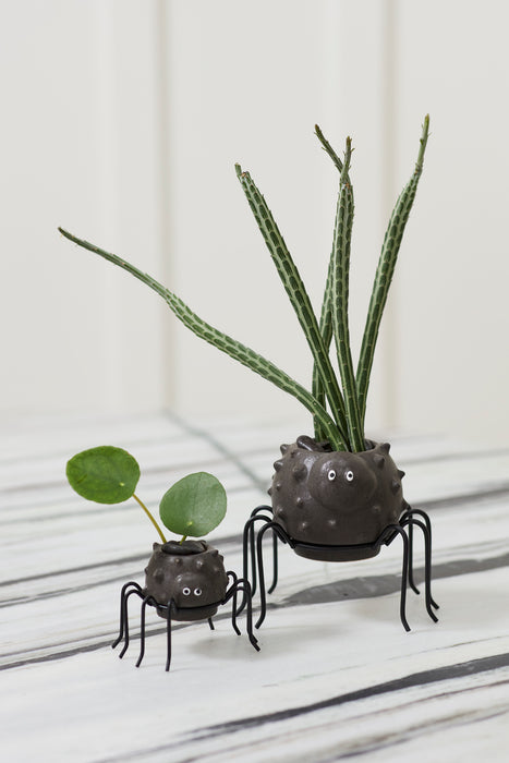 Silly Spider Pot