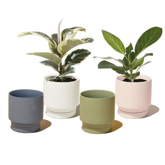 Casey Pot & Saucer — Blackwater