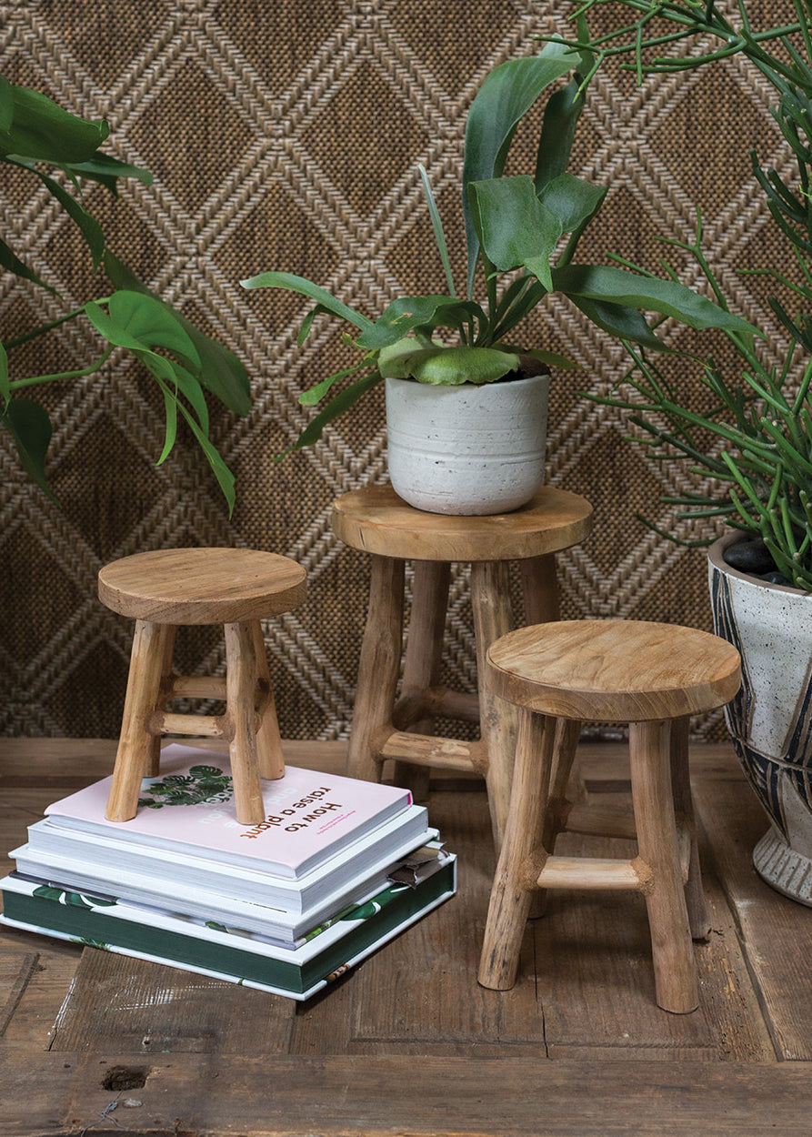 Plant Stands & Trays